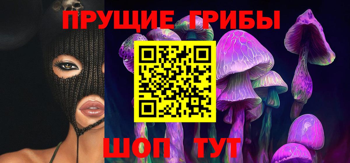 Псилоцибиновые грибы Magic Shrooms  как найти наркотики  Вход с VPN  Карталы  Псилоцибиновые грибы Psilocybine cubensis 